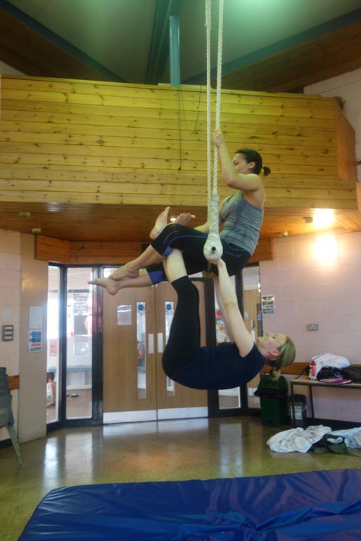 Adult aerial trapeze